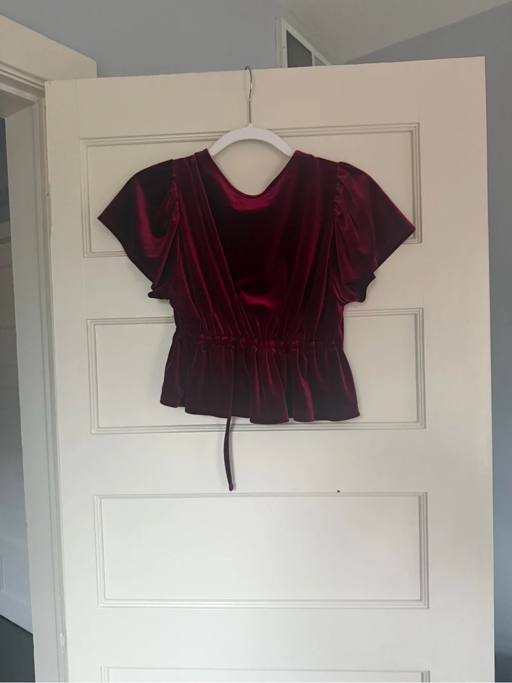New Urban Outfitters Velvet Top